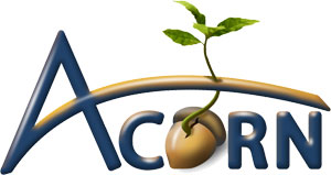 Acorn 2