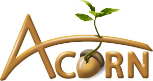 Acorn 1